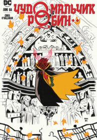 cover_Чудо-мальчик робин