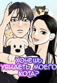 cover_Хочешь увидеть моего кота_