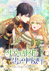 cover_Я укротила вражеского принца!