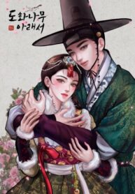 cover_Под персиковым деревом