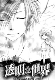 cover_Прозрачный мир