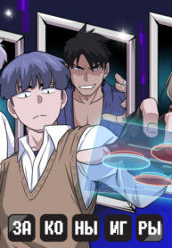 cover_Законы игры