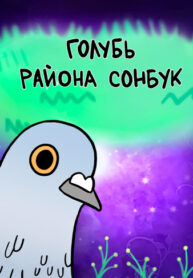 cover_Голубь района Сонбук