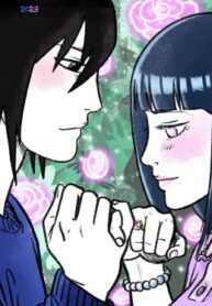 cover_История СасуХина