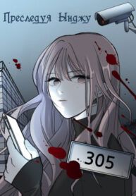 cover_Преследуя ЫнДжу