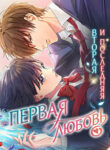 cover_Вторая и последняя первая любовь