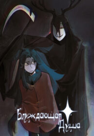 cover_Блуждающая Душа