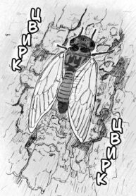 cover_Цвирк Цвирк