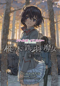 cover_Девушки и танки_ Ель и Железнокрылая Ведьма