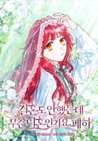 cover_Какой развод, когда мы даже не женаты, ваше величество_