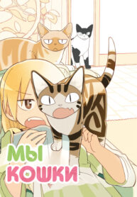 cover_Мы кошки