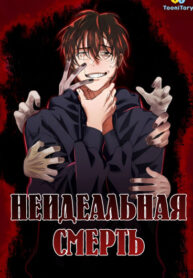 cover_Неидеальная смерть