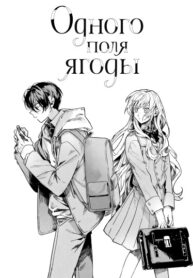 cover_Одного поля ягоды