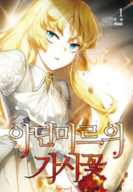 cover_Шипы Адинмира