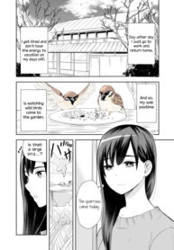 cover_Милая птичка приходит к офисной леди, которая устала и исцелилась от наблюдения за птицами